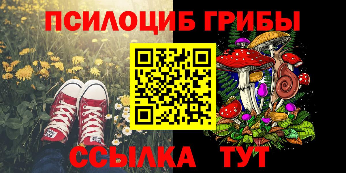 Псилоцибиновые грибы Psilocybe  Галлюциногенные грибы ЛСД  Елабуга  Вход с VPN 